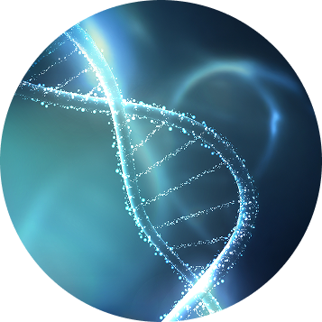 DNA double helix